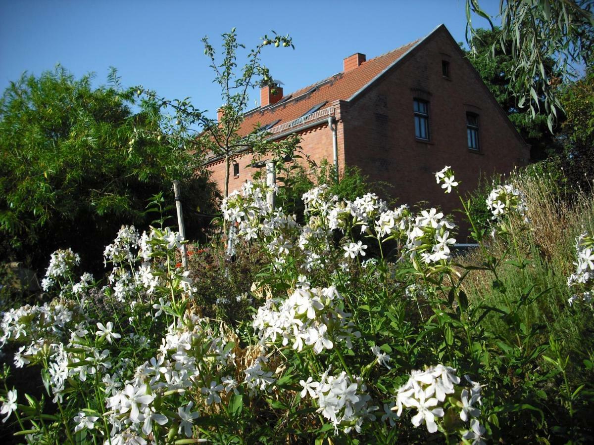 Ferienwohnung Botanische Botschaft Strodehne Exterior foto